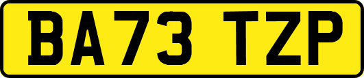 BA73TZP