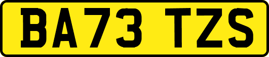 BA73TZS