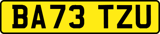 BA73TZU