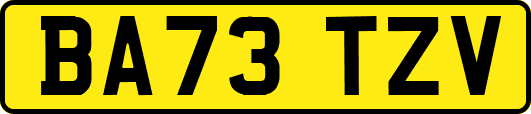 BA73TZV