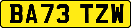 BA73TZW