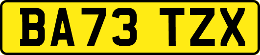 BA73TZX