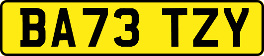 BA73TZY