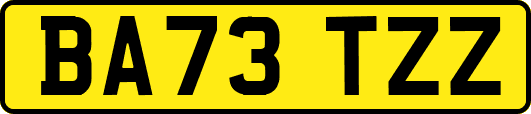 BA73TZZ