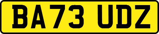 BA73UDZ