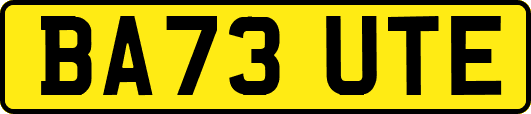 BA73UTE