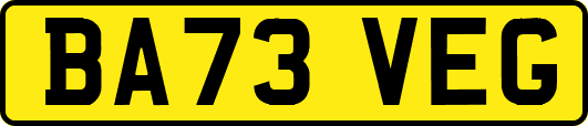 BA73VEG