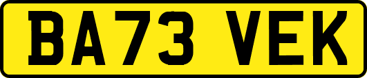 BA73VEK