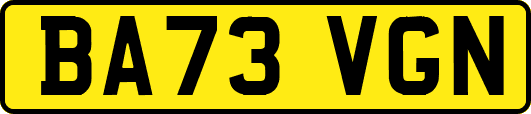 BA73VGN