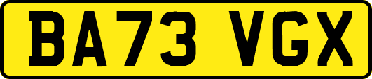 BA73VGX