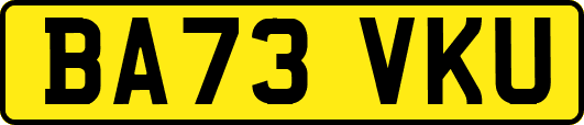 BA73VKU