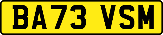 BA73VSM