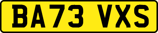 BA73VXS