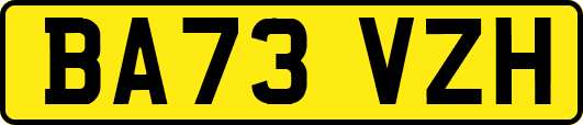 BA73VZH