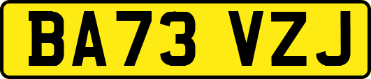 BA73VZJ