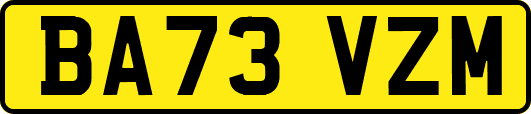 BA73VZM
