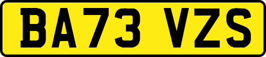 BA73VZS