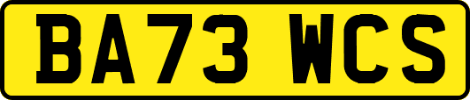 BA73WCS