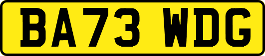 BA73WDG