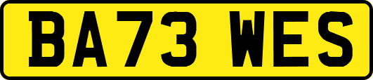 BA73WES