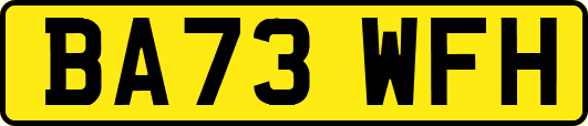 BA73WFH