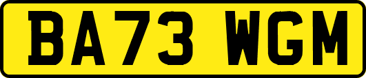 BA73WGM