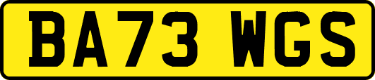BA73WGS