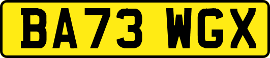 BA73WGX