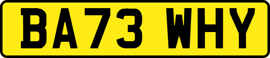 BA73WHY