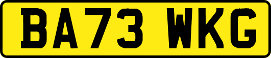 BA73WKG