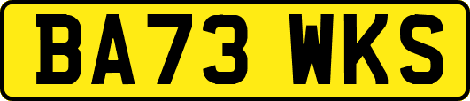BA73WKS