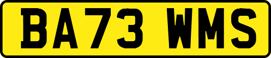 BA73WMS