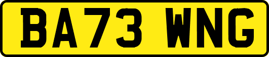 BA73WNG