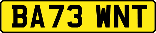 BA73WNT