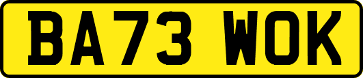 BA73WOK