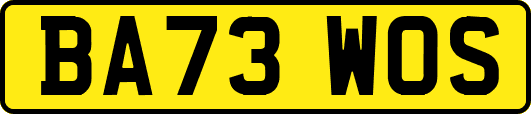 BA73WOS