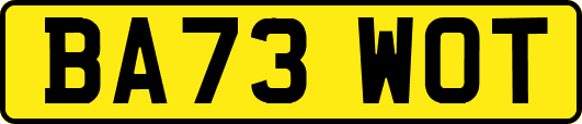 BA73WOT