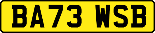 BA73WSB