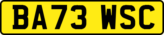 BA73WSC