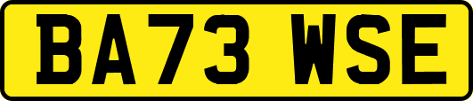 BA73WSE