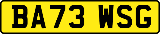 BA73WSG