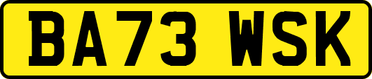 BA73WSK