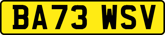 BA73WSV