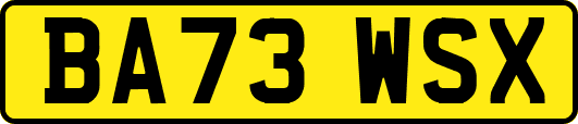 BA73WSX