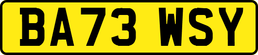 BA73WSY