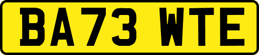 BA73WTE