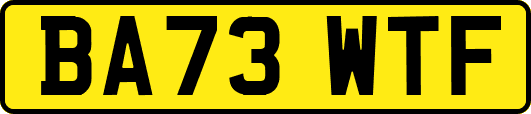 BA73WTF