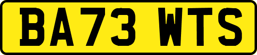 BA73WTS