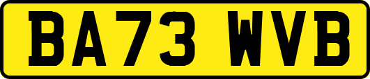 BA73WVB