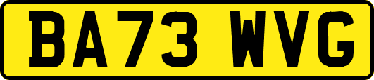 BA73WVG